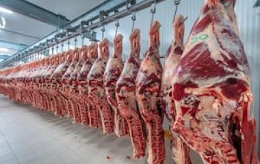 En tiempos de misiones espaciales se alinean los planetas ganaderos