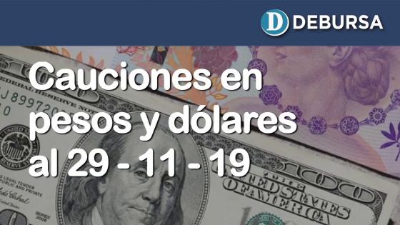 Cauciones bursátiles en pesos y dólares al 29 de noviembre 2019