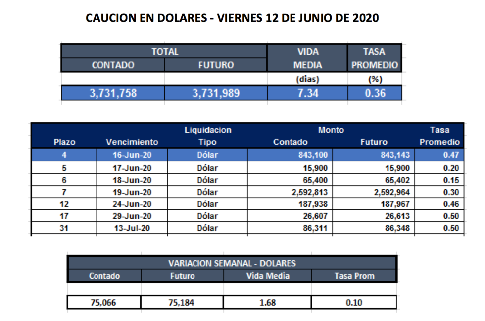 Cauciones bursátiles en dólares al 12 de junio
