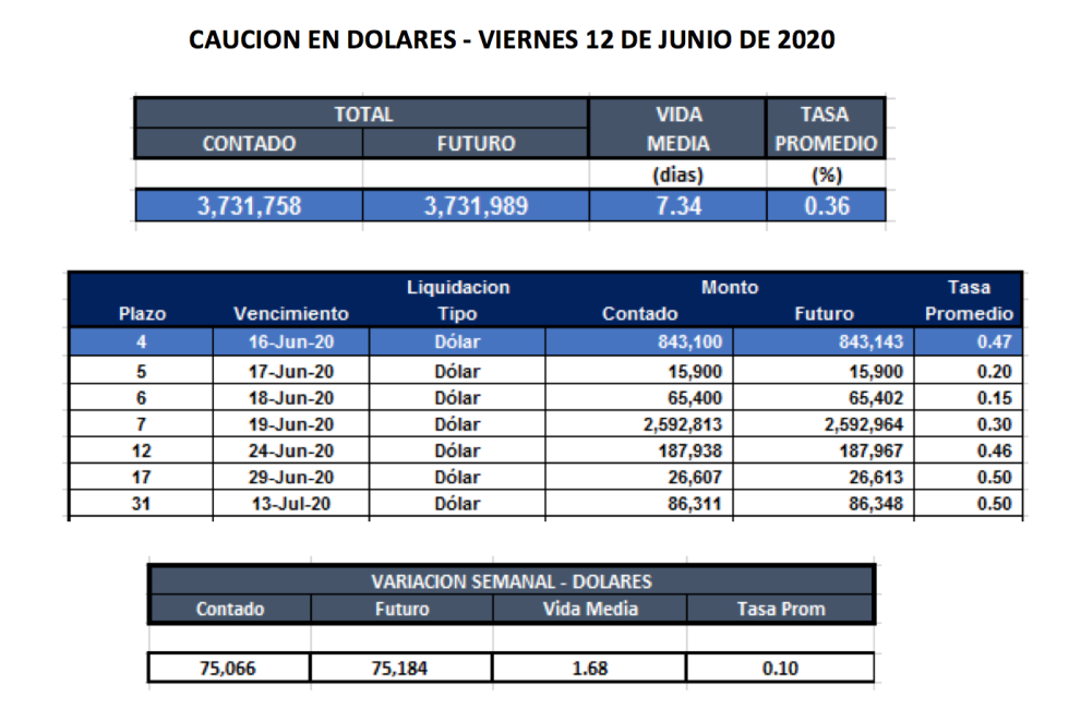 Cauciones bursátiles en dólares al 12 de junio 