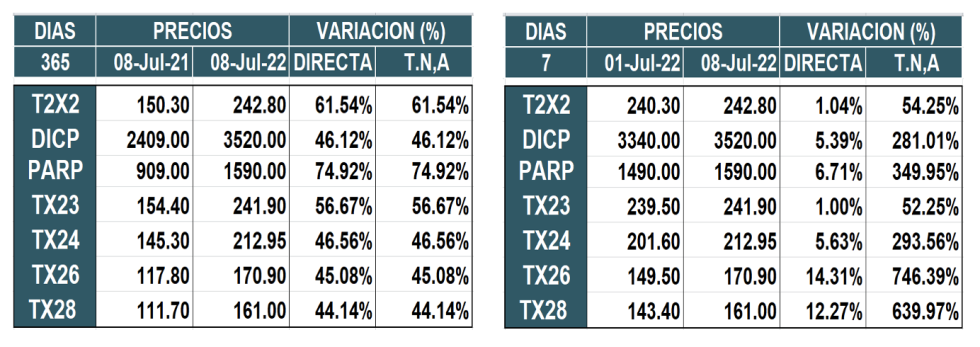 Bonos argentinos en pesos al 8 de julio 2022