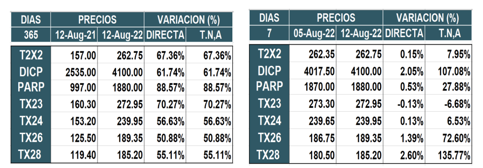 Bonos argentinos en pesos al 12 de agosto 2022