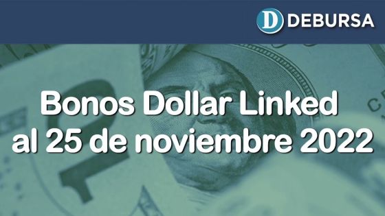 Análisis bonos Dollar Linked al 25 de noviembre 2022