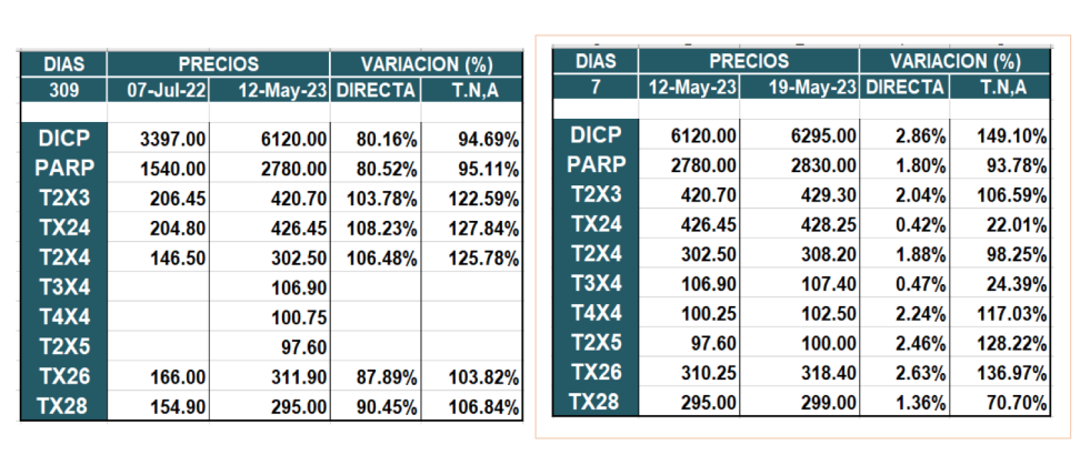 Bonos argentinos en pesos al 19 de mayo 2023