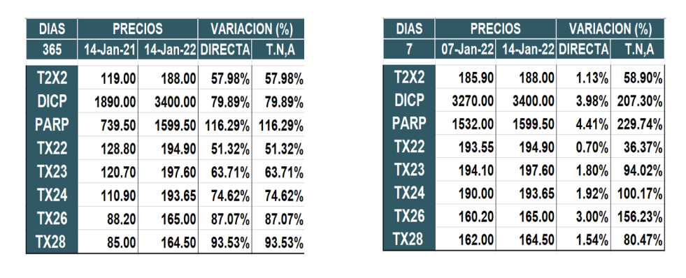 Bonos argentinos en pesos al 14 de enero 2022