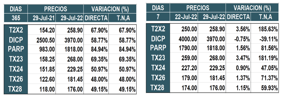 Bonos argentinos en pesos al 29 de julio 2022