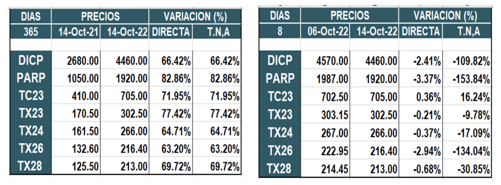 Bonos argentinos en pesos al 14 de octubre 2022