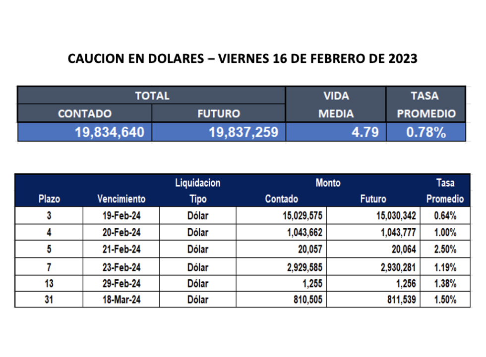 Cauciones bursátiles en dolares al 16 de febrero 2024