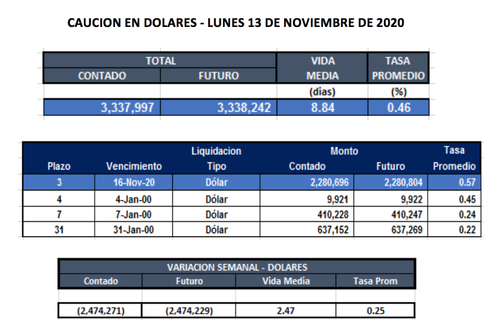 Cauciones bursátiles en dólares al 13 de noviembre 2020