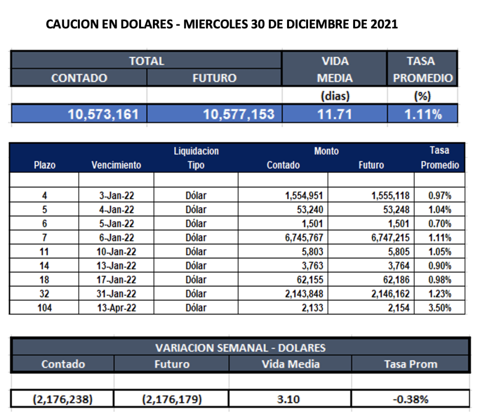 Cauciones bursátiles en dolares al 31 de diciembre 2021